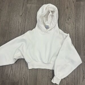 TNA Aritzia hoodie